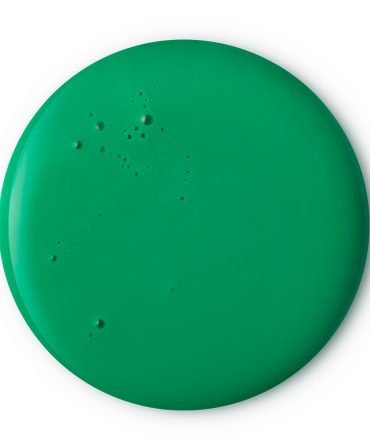 Lord of Misrule