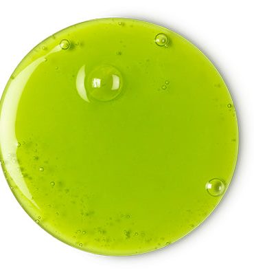 Grass