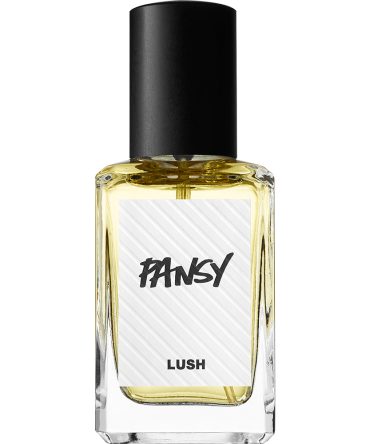 Pansy