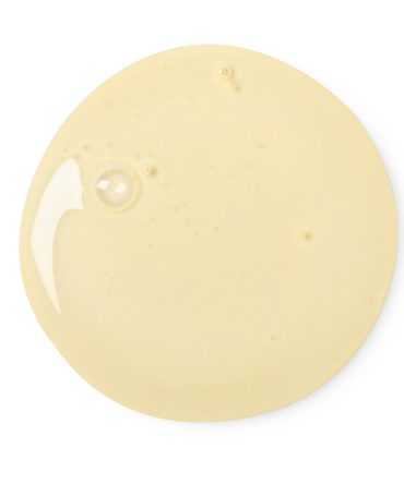 Art. 31