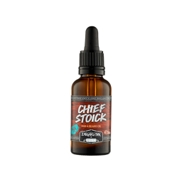 Chief Stoick
