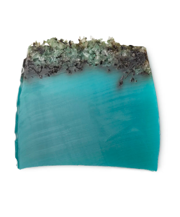 Sea Vegetable Soap