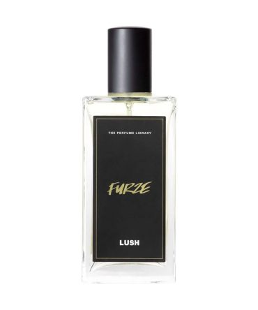 Furze