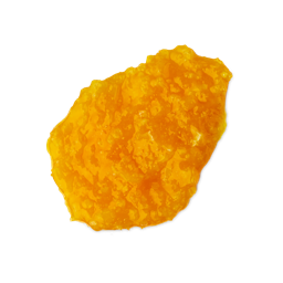 GINGER SHAMPOO
