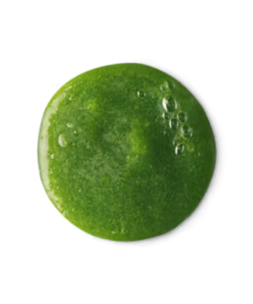 Wasabi Shan Kui Shampoo
