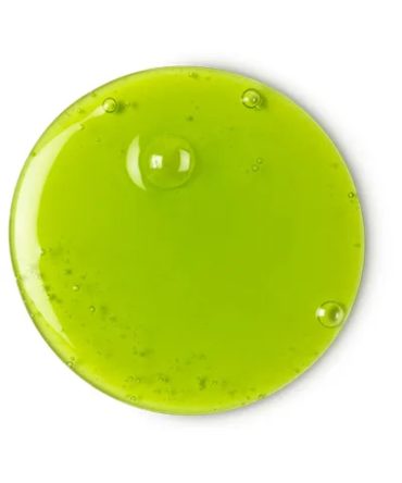 Grass