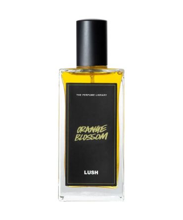 Orange Blossom