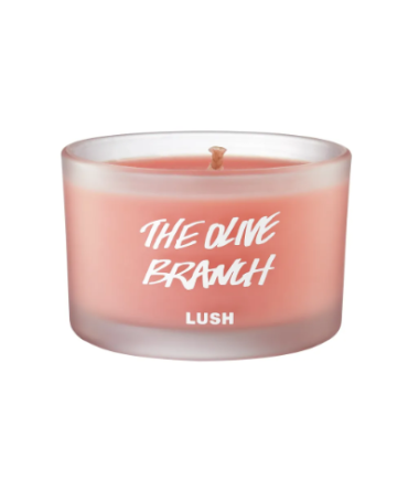 The Olive Branch